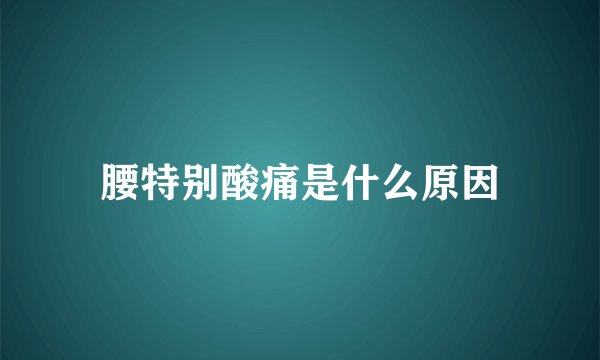 腰特别酸痛是什么原因