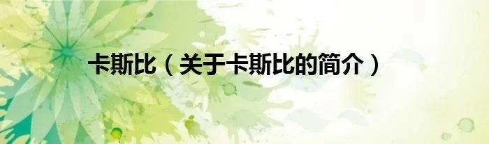 卡斯比（关于卡斯比的简介）