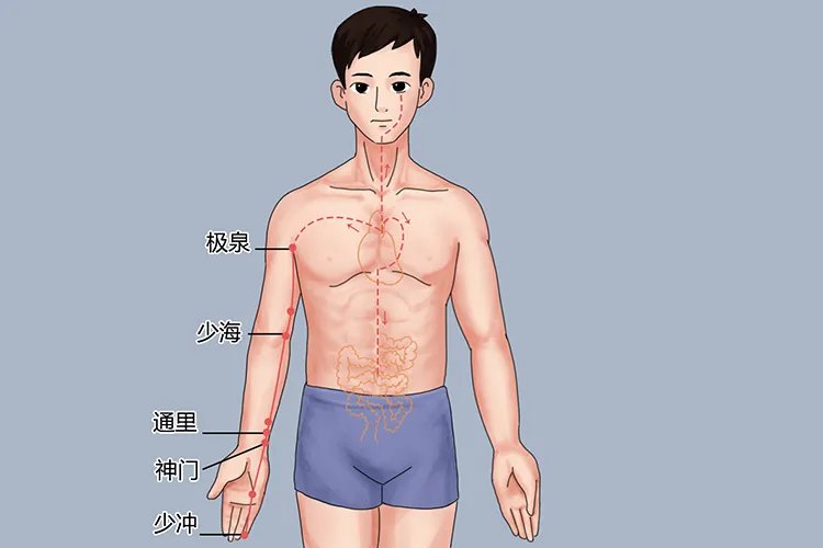 中医按摩经络图