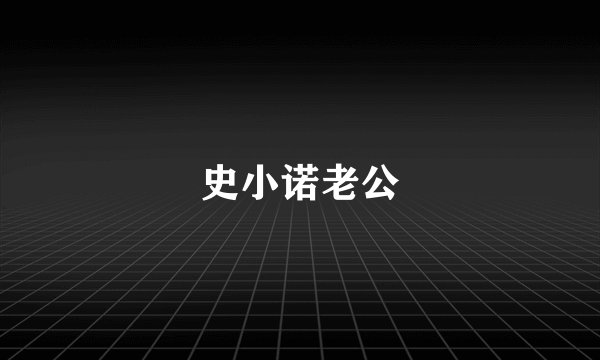 史小诺老公