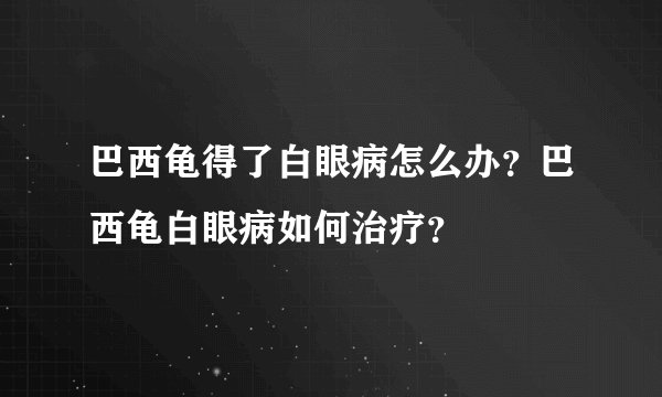 巴西龟得了白眼病怎么办?巴西龟白眼病如何治疗?