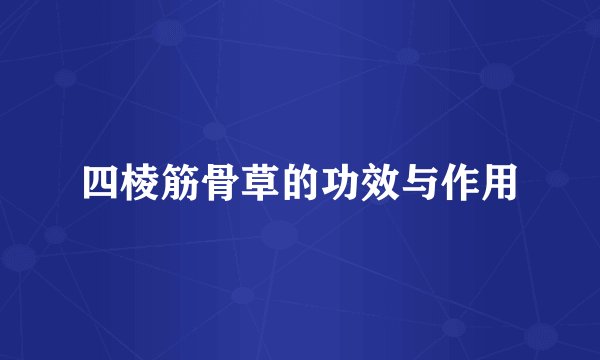 四棱筋骨草的功效与作用