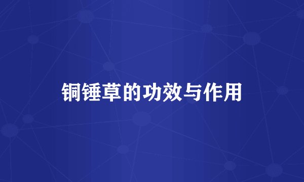 铜锤草的功效与作用