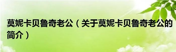 莫妮卡贝鲁奇老公（关于莫妮卡贝鲁奇老公的简介）
