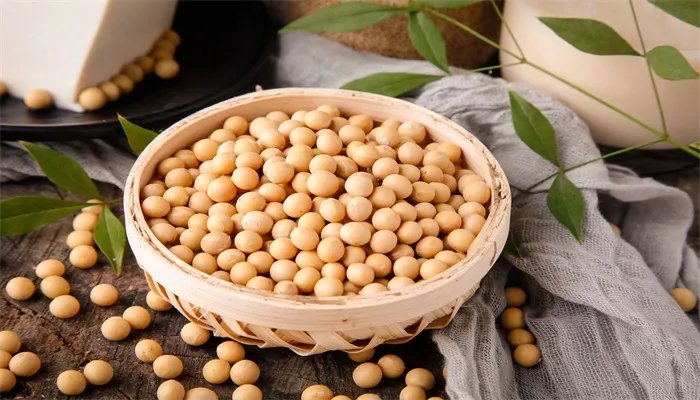菽是指什么 菽是指什么农作物