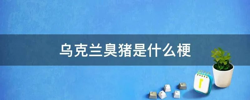 乌克兰臭猪是什么梗