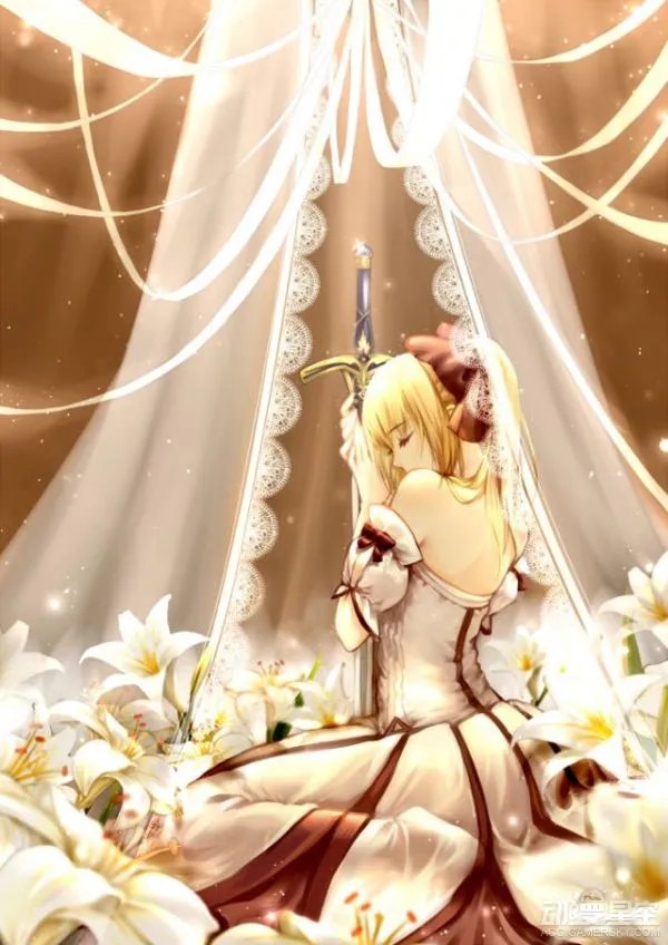 纯白骑士降临 《Fate》角色Saber lily同人美图