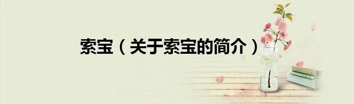 索宝（关于索宝的简介）