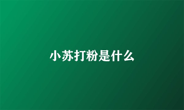 小苏打粉是什么
