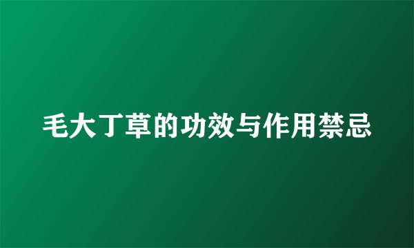 毛大丁草的功效与作用禁忌