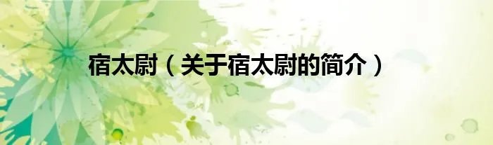 宿太尉（关于宿太尉的简介）