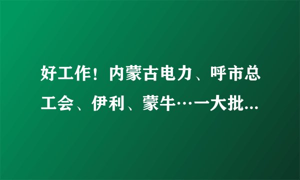 好工作！内蒙古电力、呼市总工会、伊利、蒙牛…一大批岗位等你来！