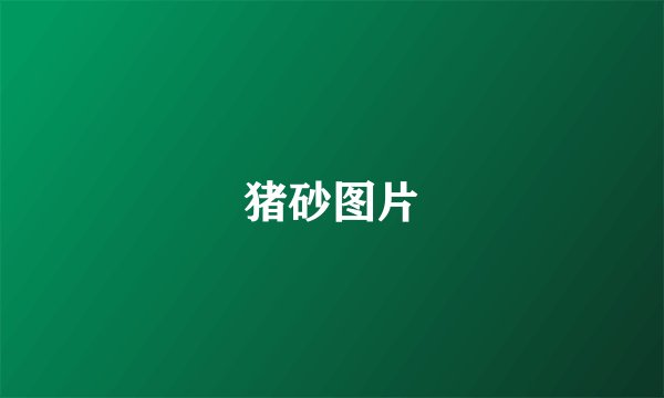 猪砂图片