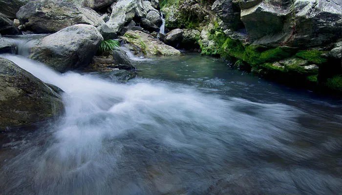 小溪泛尽却山行什么意思 小溪泛尽却山行是什么意思