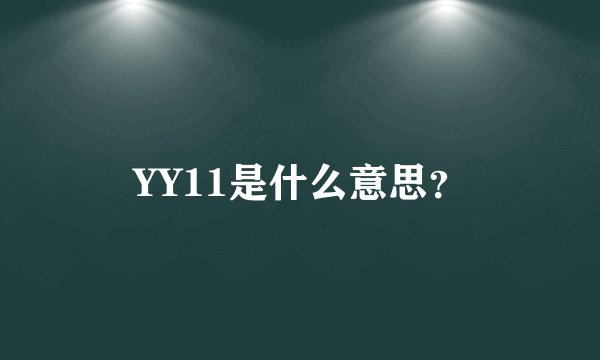 YY11是什么意思？