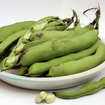 豆腐渣怎么吃