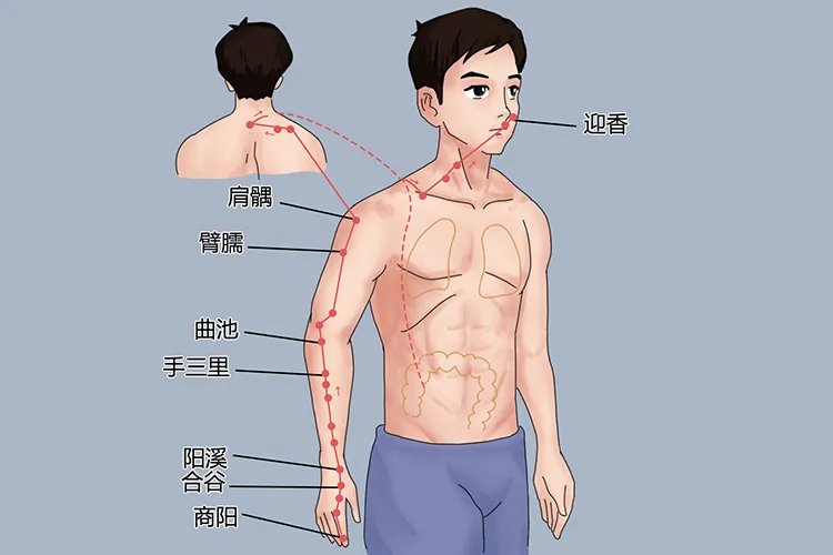 艾灸人体的经络位置图