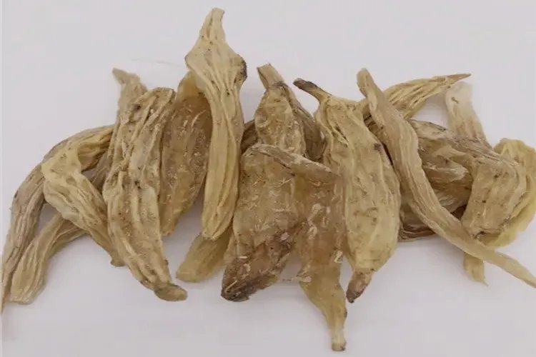 天门冬药用价值以及图片大全