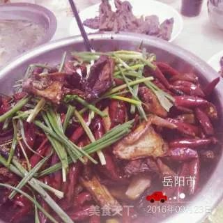 姜辣蛇