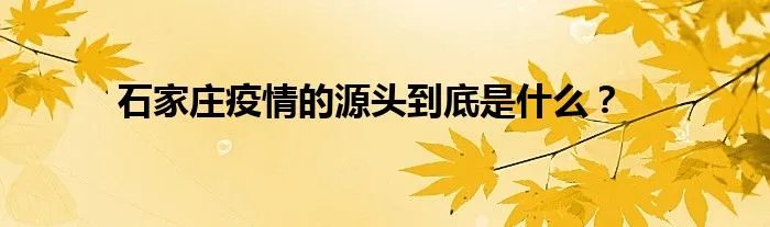石家庄疫情的源头到底是什么？