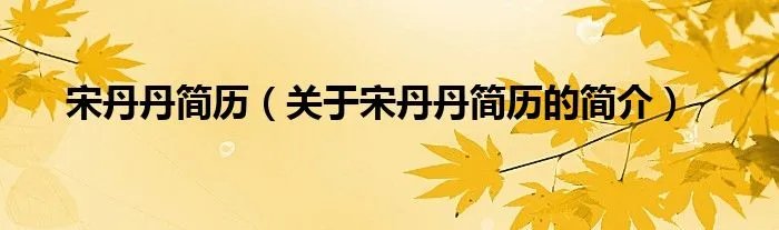 宋丹丹简历（关于宋丹丹简历的简介）