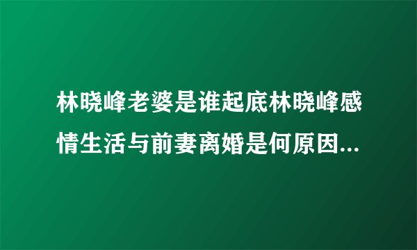 林晓峰老婆是谁起底林晓峰感情生活与前妻离婚是何原因-飞外网