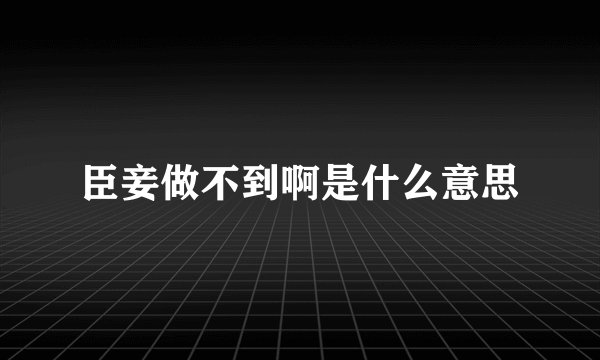 臣妾做不到啊是什么意思