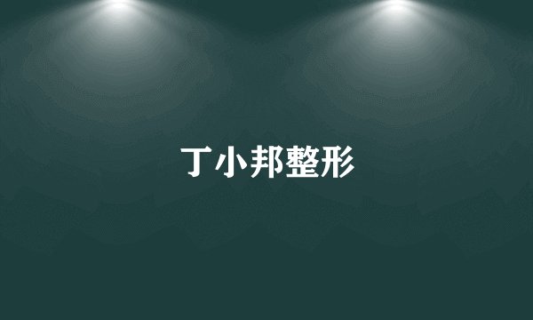 丁小邦整形