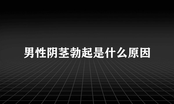 男性阴茎勃起是什么原因