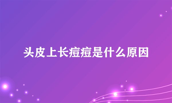 头皮上长痘痘是什么原因