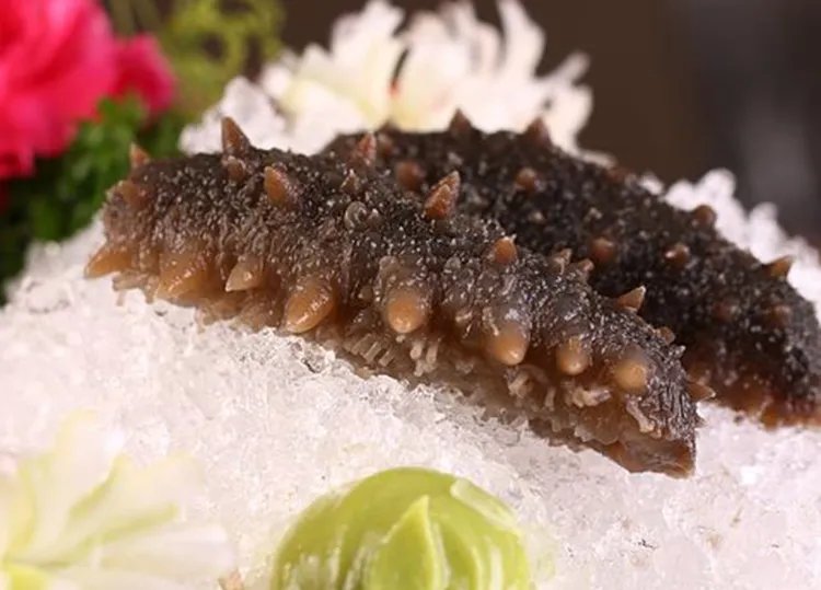 海参的功效与作用