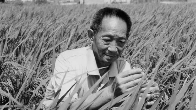 为什么袁隆平院士的儿子都如此优秀?