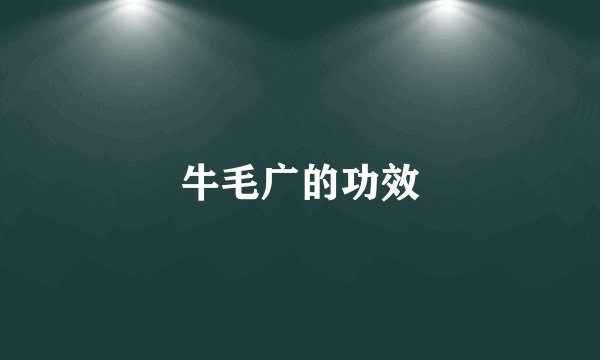 牛毛广的功效