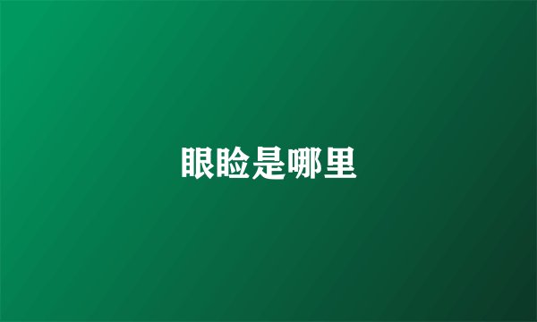 眼睑是哪里