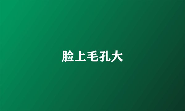 脸上毛孔大
