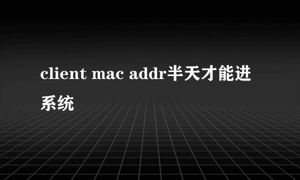 client mac addr半天才能进系统