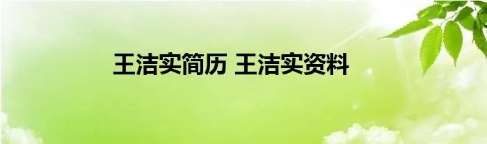 王洁实简历 王洁实资料
