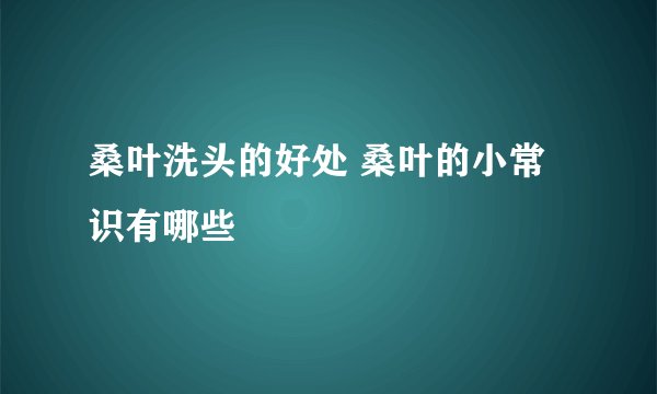 桑叶洗头的好处 桑叶的小常识有哪些