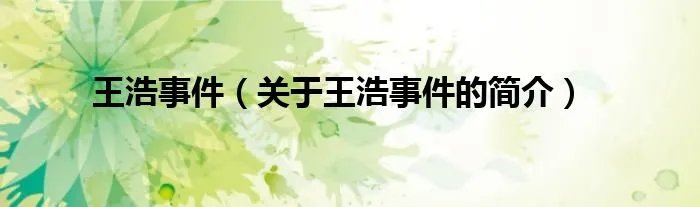 王浩事件（关于王浩事件的简介）