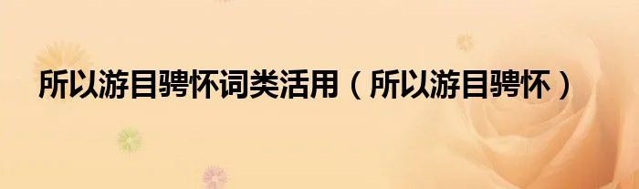 所以游目骋怀词类活用(所以游目骋怀)