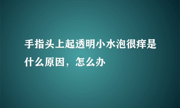 手指头上起透明小水泡很痒是什么原因，怎么办