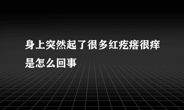 身上突然起了很多红疙瘩很痒是怎么回事