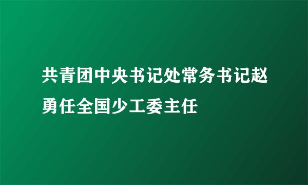共青团中央书记处常务书记赵勇任全国少工委主任