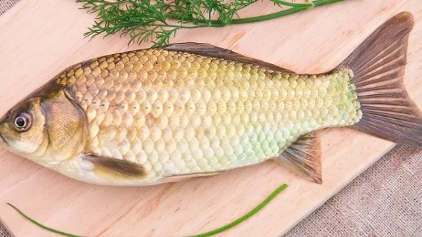 日常壮阳的食物有哪些？壮阳食物家常菜谱大全