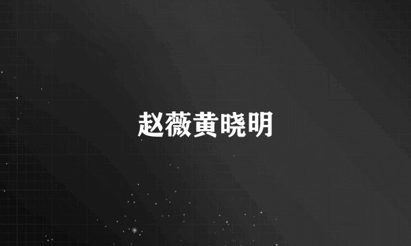赵薇黄晓明