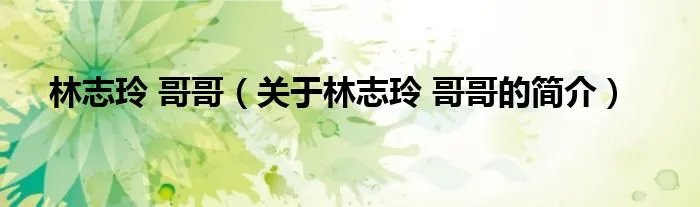 林志玲 哥哥（关于林志玲 哥哥的简介）