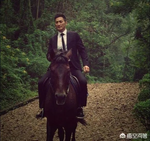 何家劲一生中演过多少部电视剧?