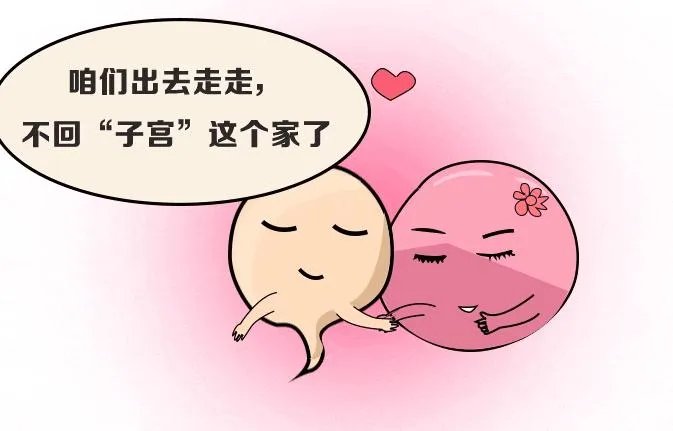天津试管捐卵试管-天津试管婴儿医院