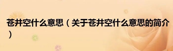苍井空什么意思(关于苍井空什么意思的简介)
