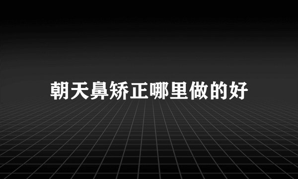 朝天鼻矫正哪里做的好